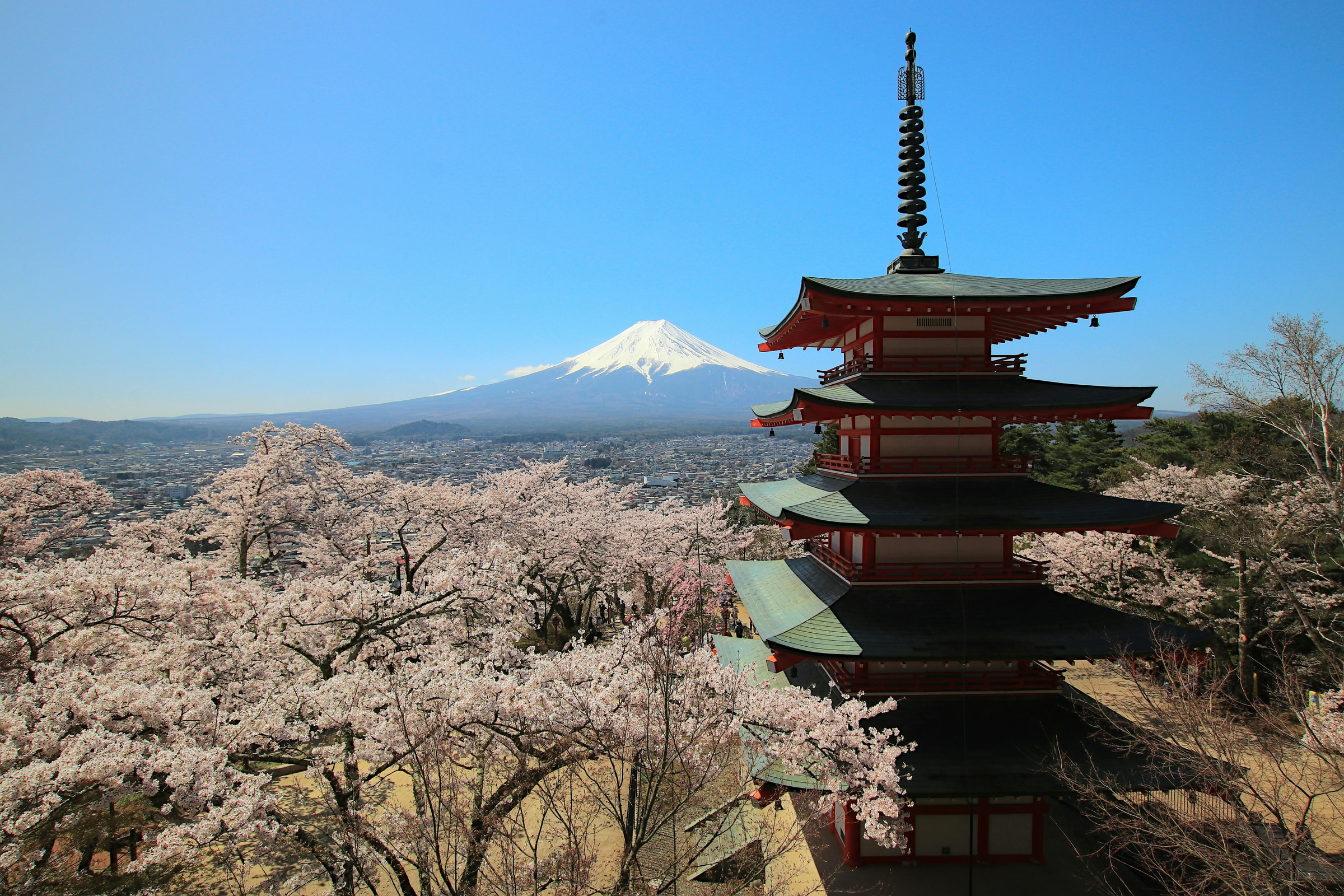 东京 + 大阪 + 京都 + 富士山 — 7 天